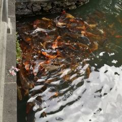 Yuquanyuan User Photo