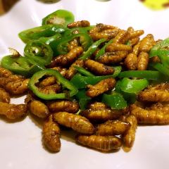 Shi Qi Lao(Zhang Xi) User Photo