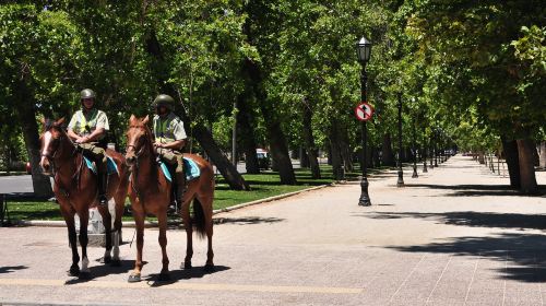 Parque Forestal