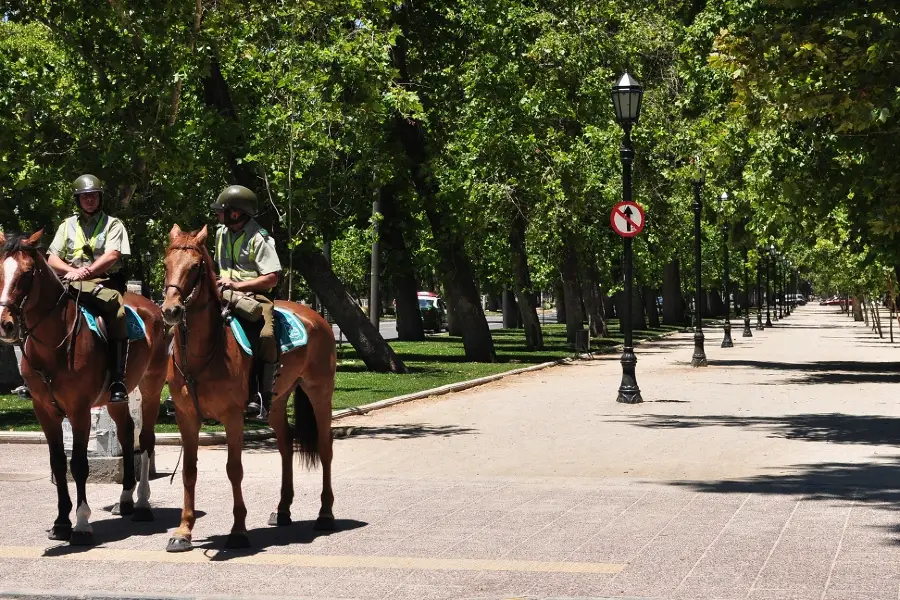 Parque Forestal