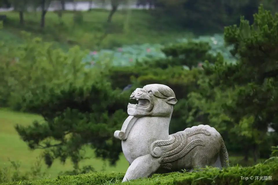4_Museum of Han Guangling King