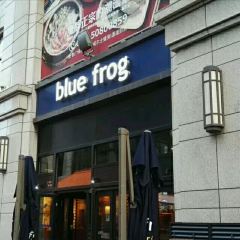 blue frog ảnh của người dùng