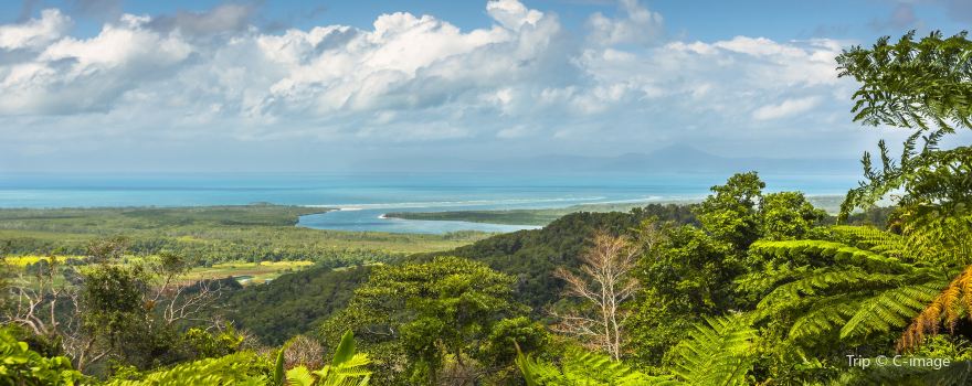 Daintree Rainforest