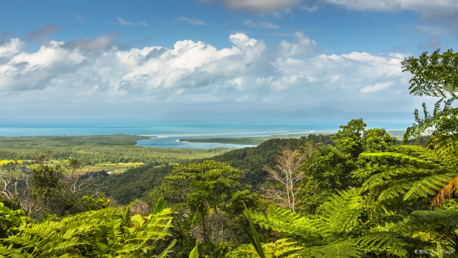 Hotels near Daintree Rainforest