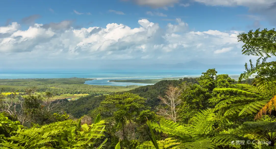 Hotels near Daintree Rainforest