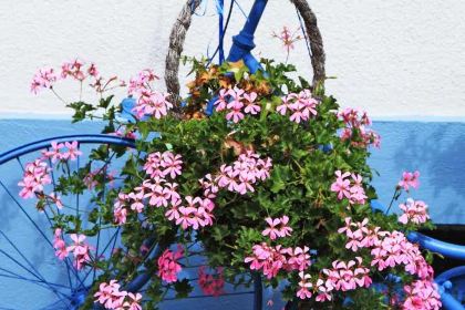 一鸣真鲜奶吧(丽水青田开元奶吧)