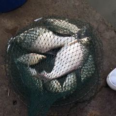 傣妹火锅(肥西名邦广场店) User Photo
