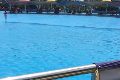 Alijiazhi Noodles (dehuajie)