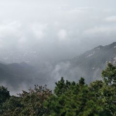 SHI NIU RESTAURANT User Photo