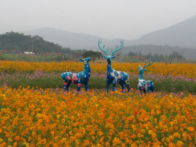 Taiji Wuse Valley