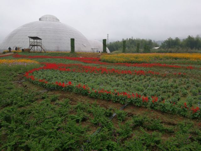 Taiji Wuse Valley