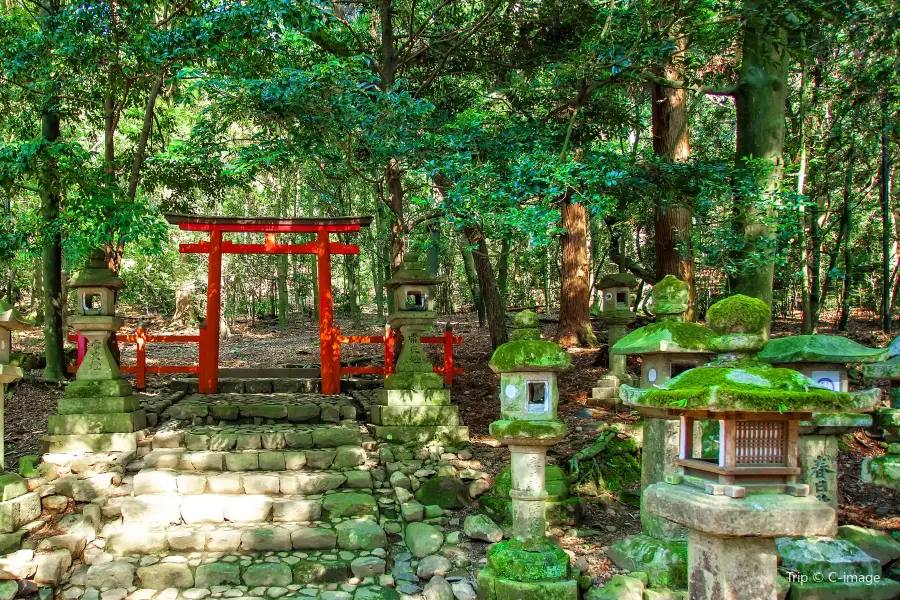 Mt. Kasuga Primeval Forest