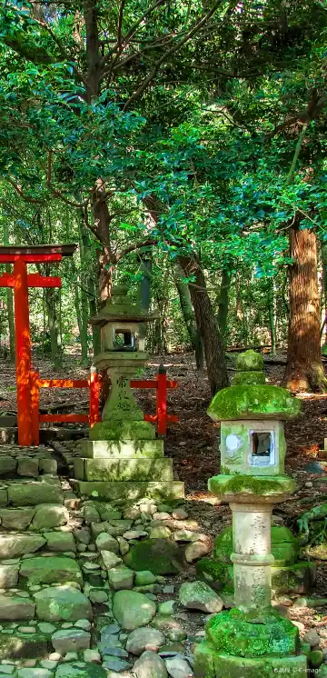 春日山原始林周辺のホテル