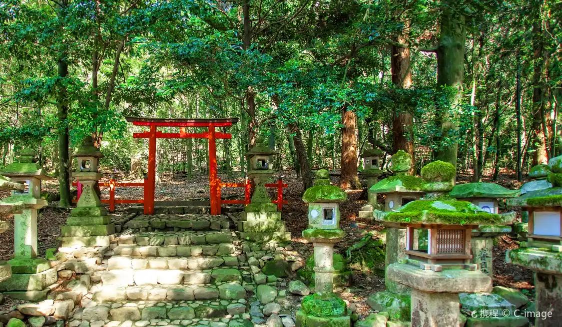 Hotels near Mt. Kasuga Primeval Forest