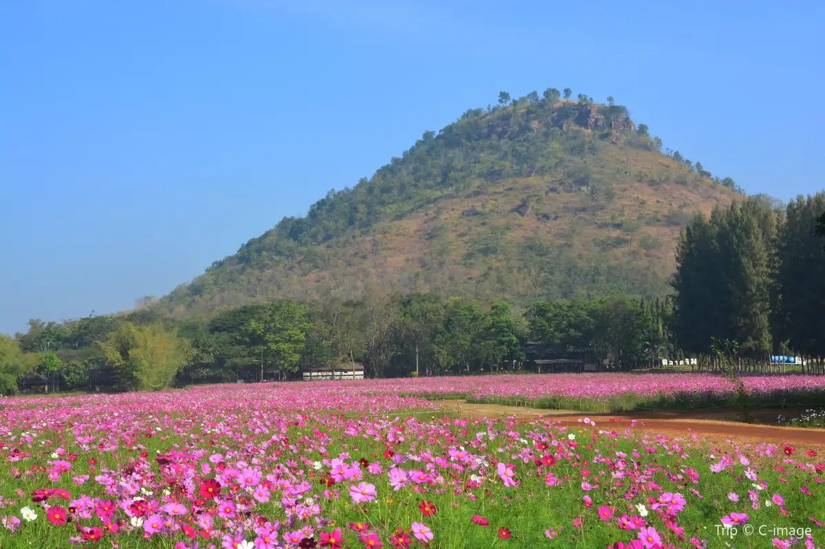 Uminonakamichi Seaside Park