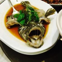 Maple Palace Restaurant User Photo