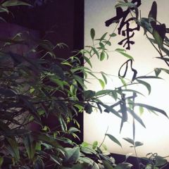 Kikunoi Honten User Photo