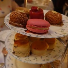 The Palm Court User Photo
