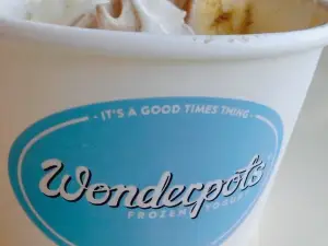 Wonderpots Frozen Yogurt