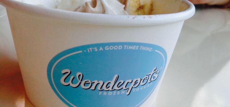 Wonderpots Frozen Yogurt