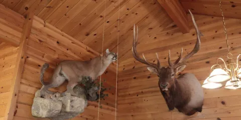 Bryce Canyon Coffee Co.