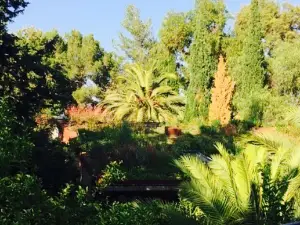 Restaurante Montsant