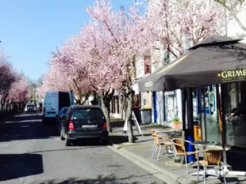 Cafe de la Republique