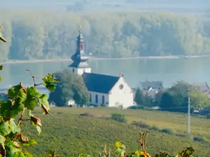 Weingut & Gutsschanke Heise am Kranzberg