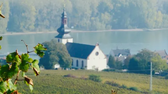 Weingut & Gutsschanke Heise am Kranzberg