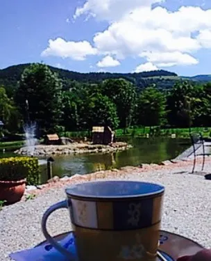 Restaurant Les Clarines D'argent