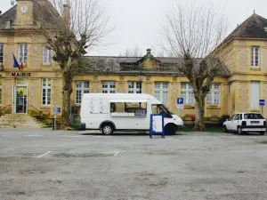 Dordogne Chippy