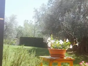 Agriturismo Serrette