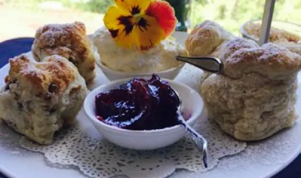 Elements at Montville