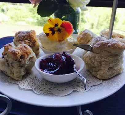 Elements at Montville