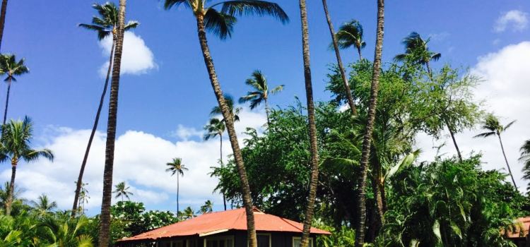 Waimea Plantation