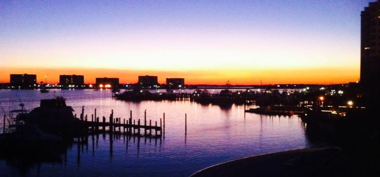 Marina Cafe