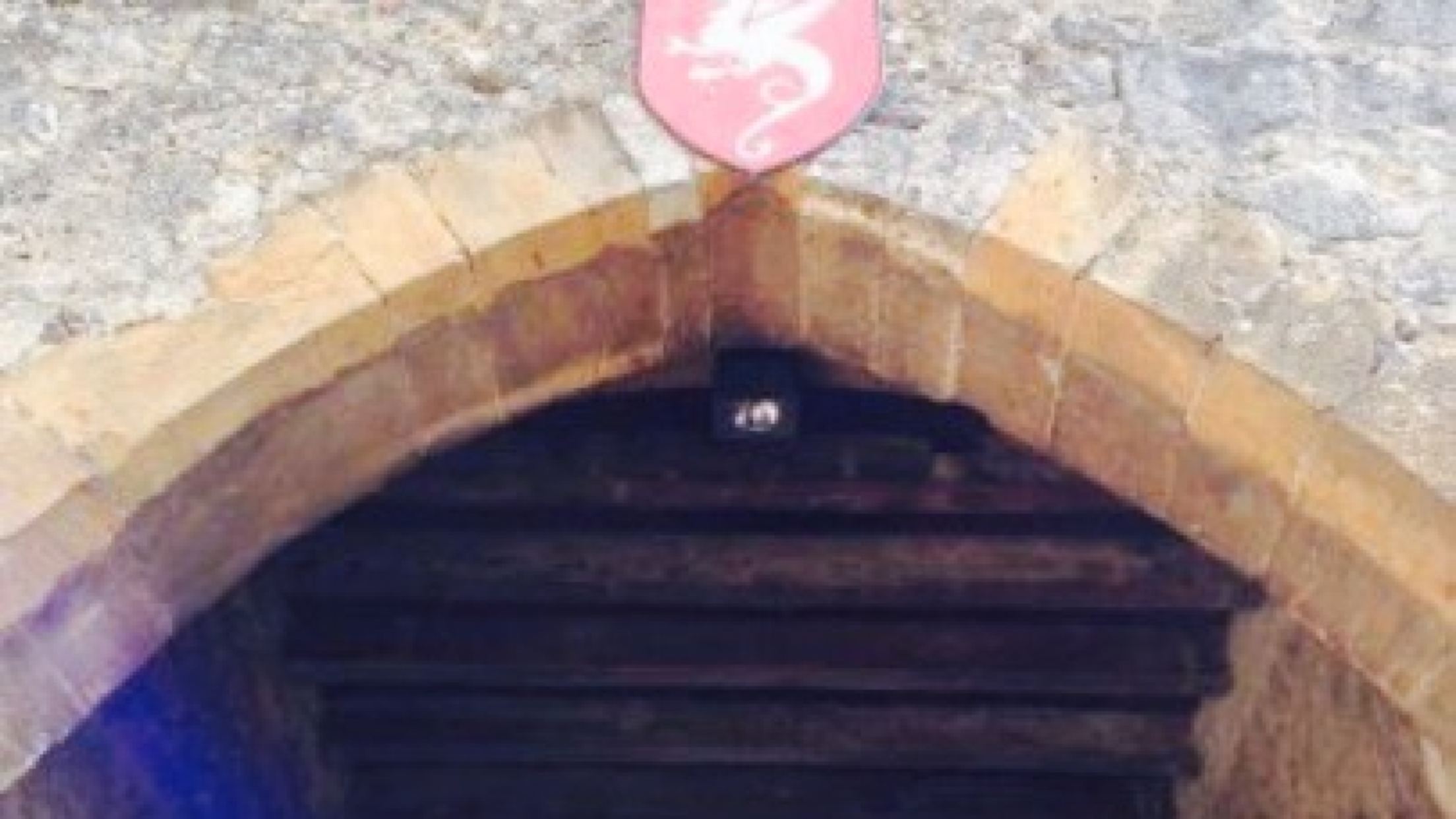Les Terrasses de Perouges