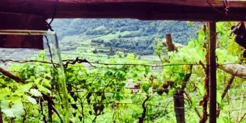 Restaurant Leiter am Waal