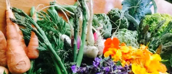 Sarah's Sister's Sustainable Cafe