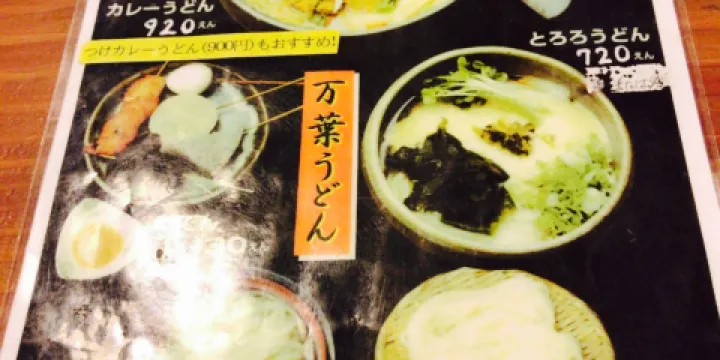 Ashigarakodomanyo Udon