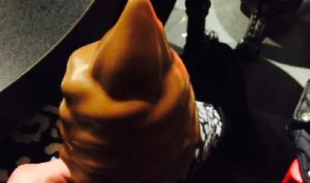 Les Chocolats Favoris