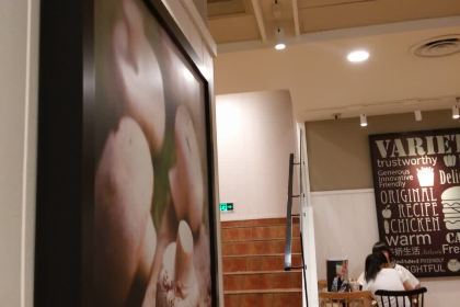 KEN DE JI MAO YE DIAN DIAN