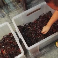 巴比客优烧烤(小溪塔店) User Photo