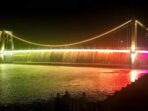 ZHENG XIN