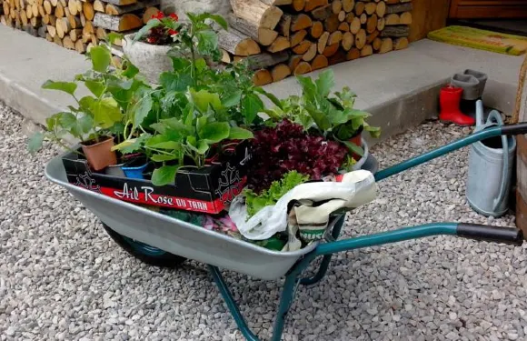 十字路口度假屋