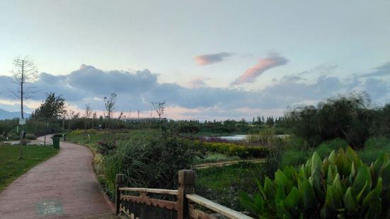 野姜花溪步道