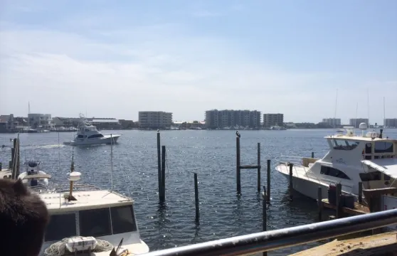 Harbor Docks