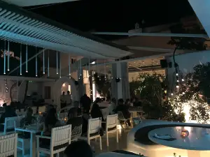 Koursaros