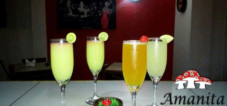 Amanita Resto Bar