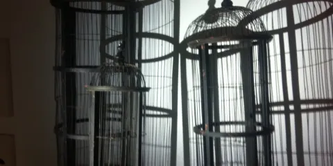 Kaori Japanese Restaurant